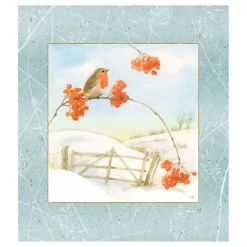 Adventskalender "Wintermorgen mit Rotkehlchen" Sale