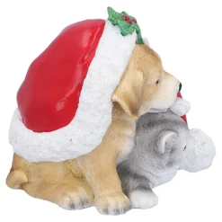 Hund und Katze unter Mütze Sale