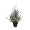 Weihnachtsbaum im Topf, beschneit, 75 cm Best